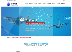 德州安盾電子有限公司