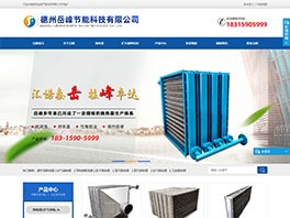 德州岳峰節能科技有限公司