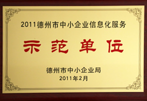 2011德州市中小企業(yè)信息化服務(wù)示范單位