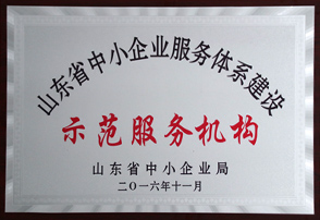 山東省中小企業(yè)服務(wù)體系建設(shè)示范服務(wù)機(jī)構(gòu)